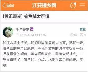 江安的新闻爆料该找谁投诉,揭秘投诉渠道，助力维权行动  第3张