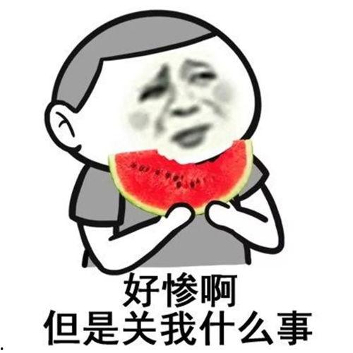 吃瓜心声真千金有秘密免费,真千金背后的惊人秘密大公开  第2张